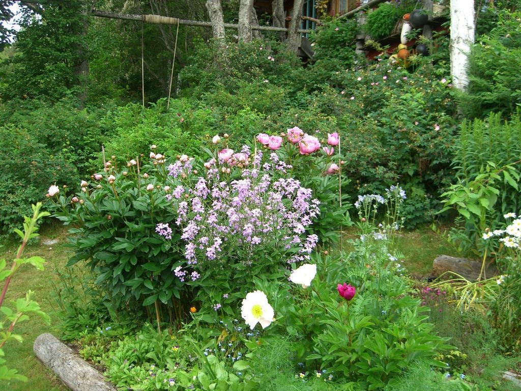 Brigitte'S Bavarian Bed Und Breakfast Millers Landing Buitenkant foto