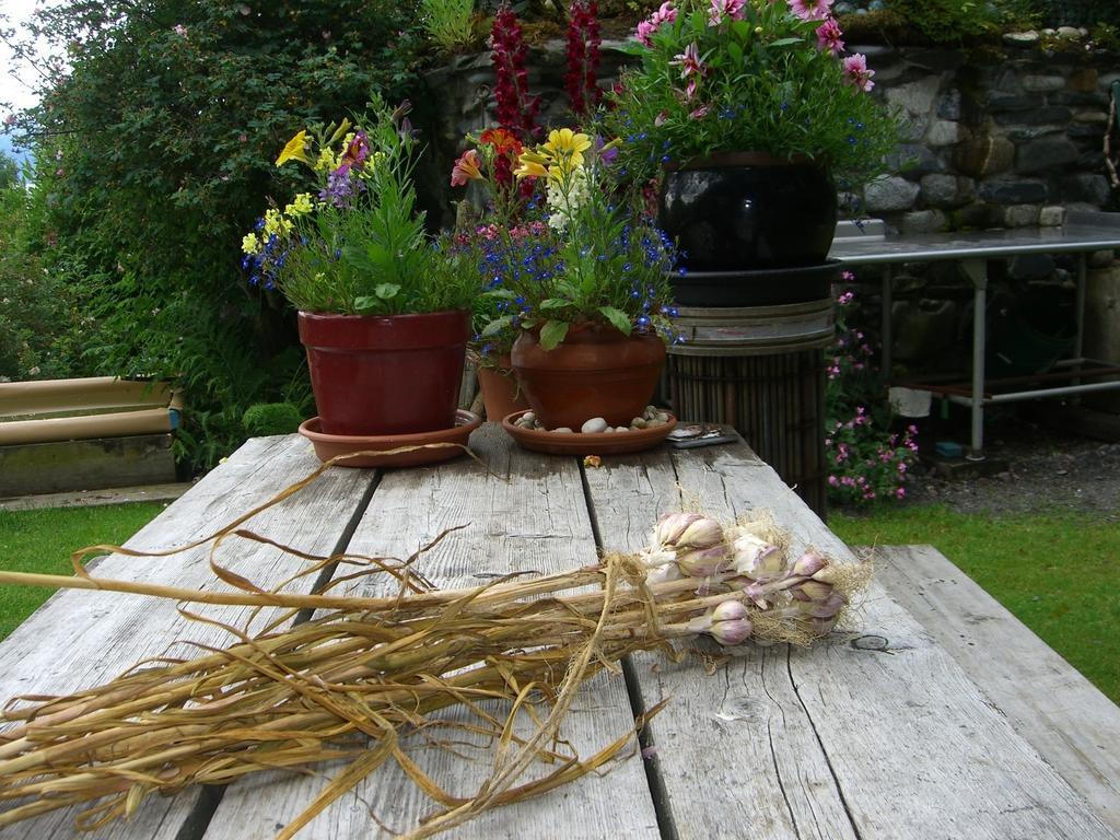 Brigitte'S Bavarian Bed Und Breakfast Millers Landing Buitenkant foto