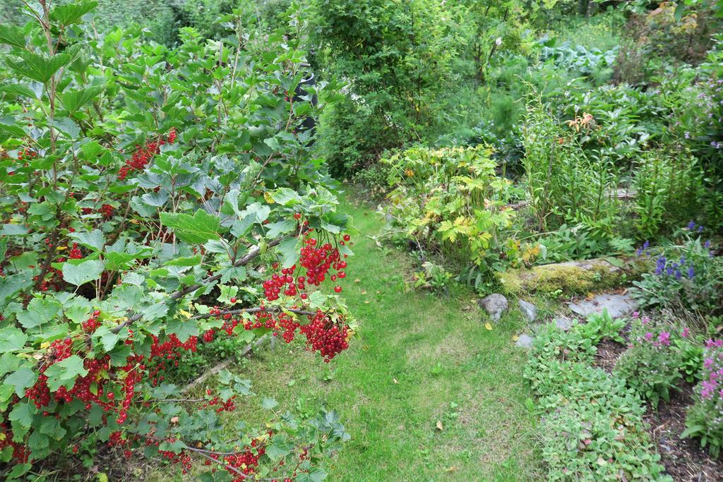 Brigitte'S Bavarian Bed Und Breakfast Millers Landing Buitenkant foto