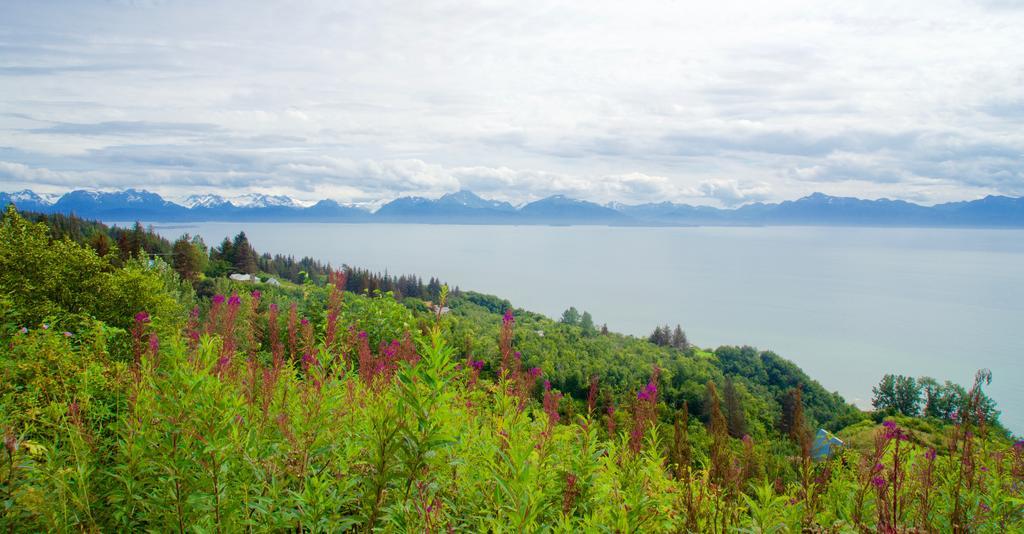 Brigitte'S Bavarian Bed Und Breakfast Millers Landing Buitenkant foto