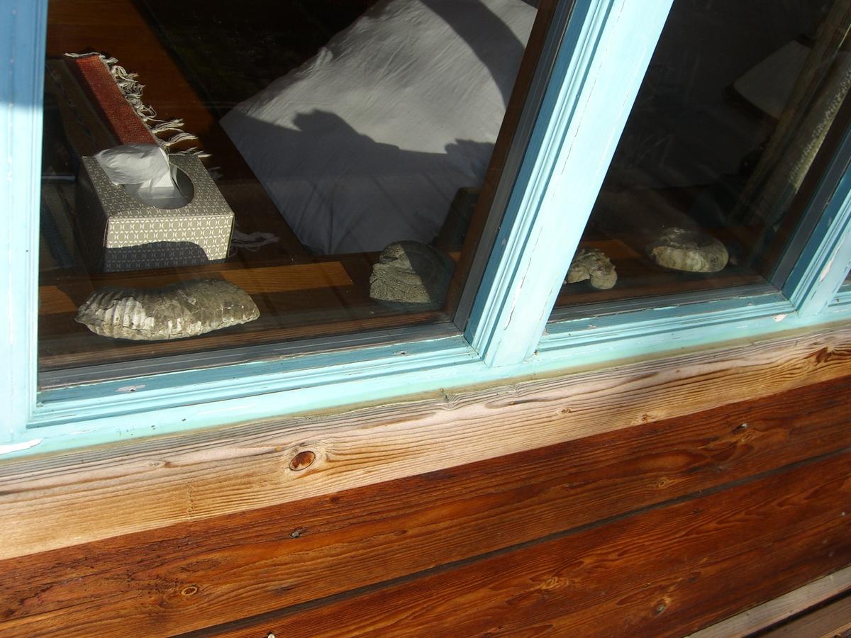 Brigitte'S Bavarian Bed Und Breakfast Millers Landing Buitenkant foto