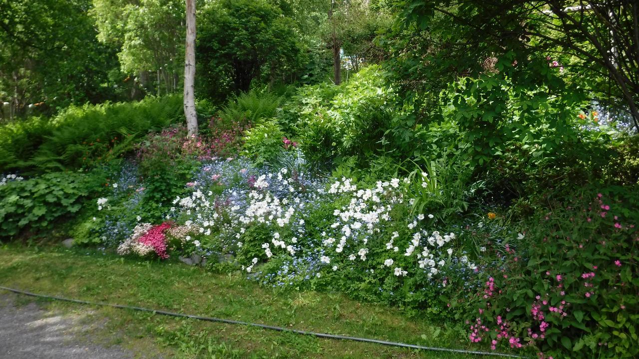 Brigitte'S Bavarian Bed Und Breakfast Millers Landing Buitenkant foto